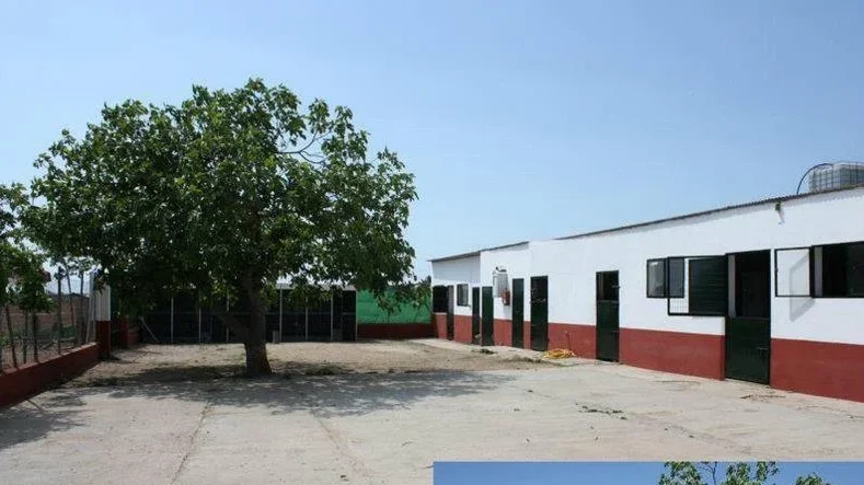 Residencia Canina el hogar del perro – residencia canina en Badajoz
