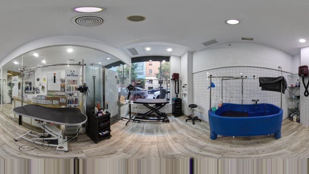 Guardería Canina UpDog Chamberí – residencia canina en Madrid