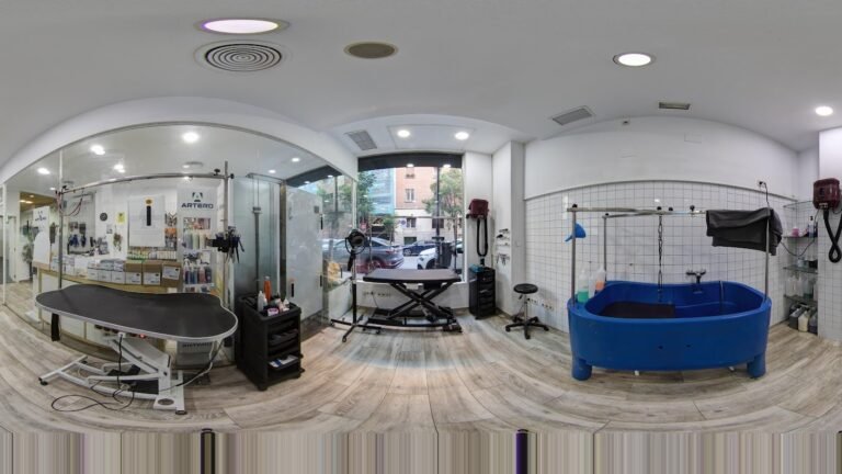 Guardería Canina UpDog Chamberí – residencia canina en Madrid