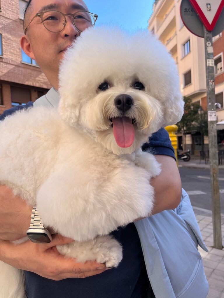 updog chamberí