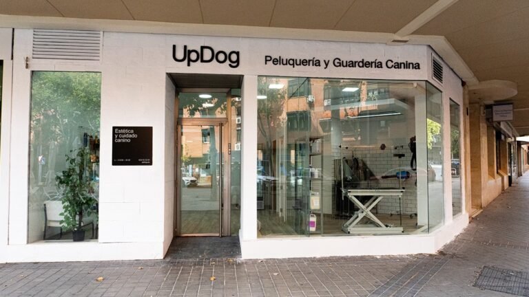 Guardería Canina UpDog Pacífico – residencia canina en Madrid