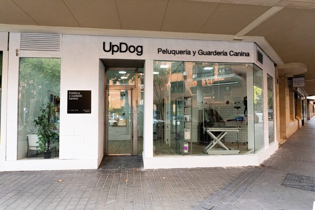 updog pacífico