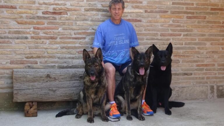 Centro Canino Usurbe – residencia canina en Zaragoza