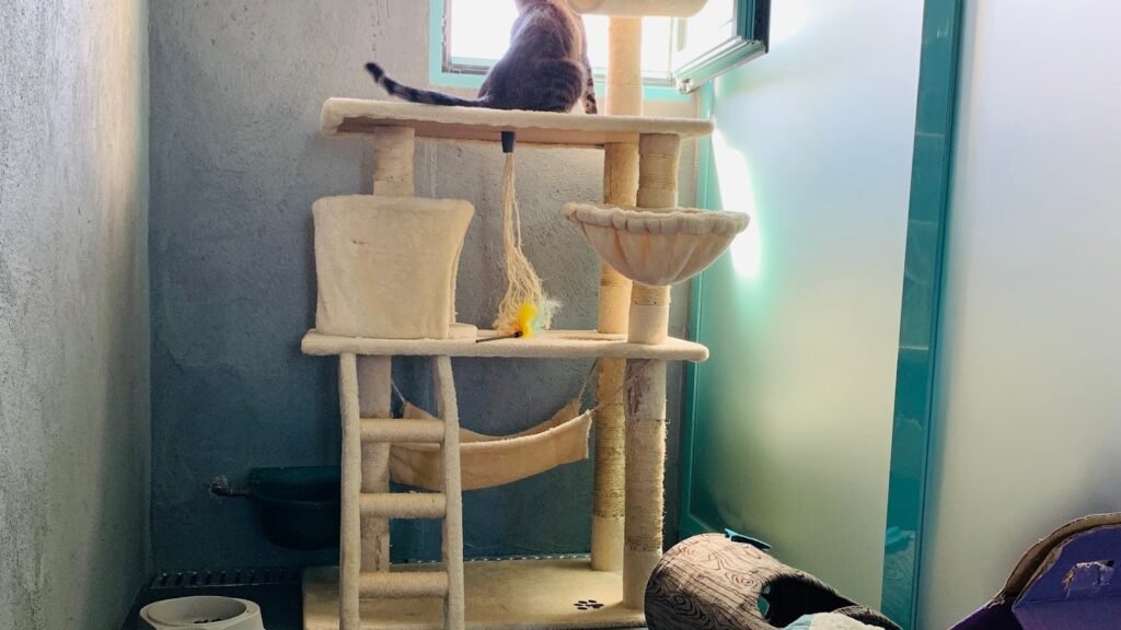 Residencia Canina Vetoven – residencia canina en Valladolid