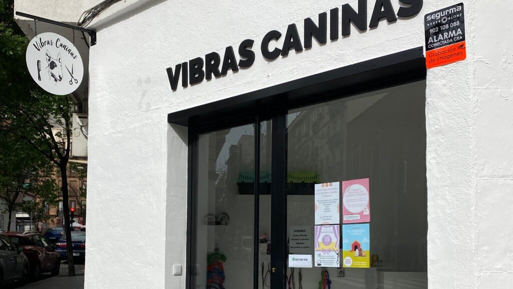 Guardería Canina Vibras Caninas – residencia canina en Madrid