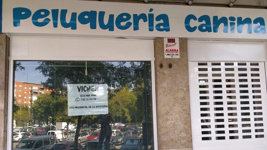 Guardería Canina Vichen – residencia canina en Madrid