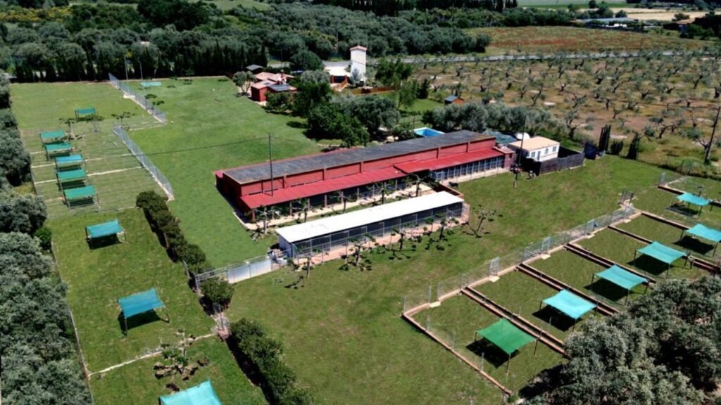 Residencia Canina VilaDesCans – residencia canina en Girona