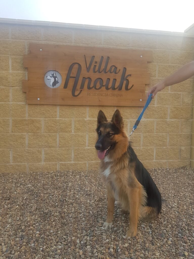 villa anouk