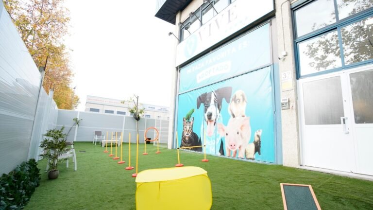 Hotel Canino VivePets San Sebastián de los Reyes – residencia canina en Madrid