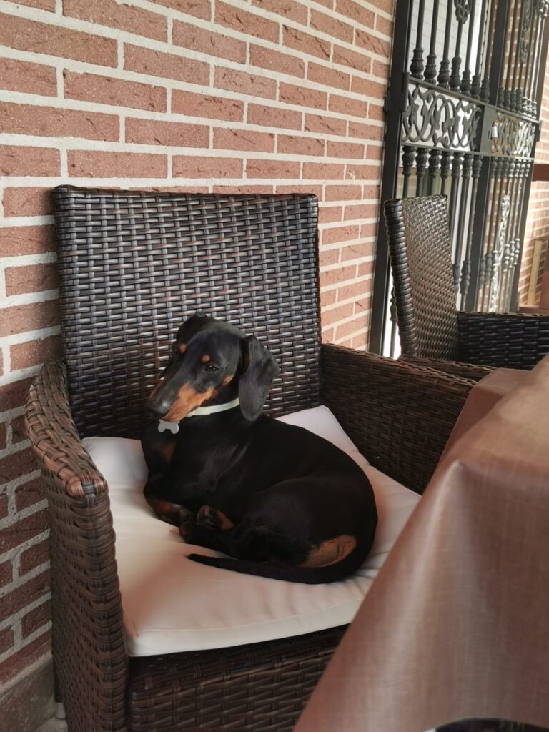 yulican