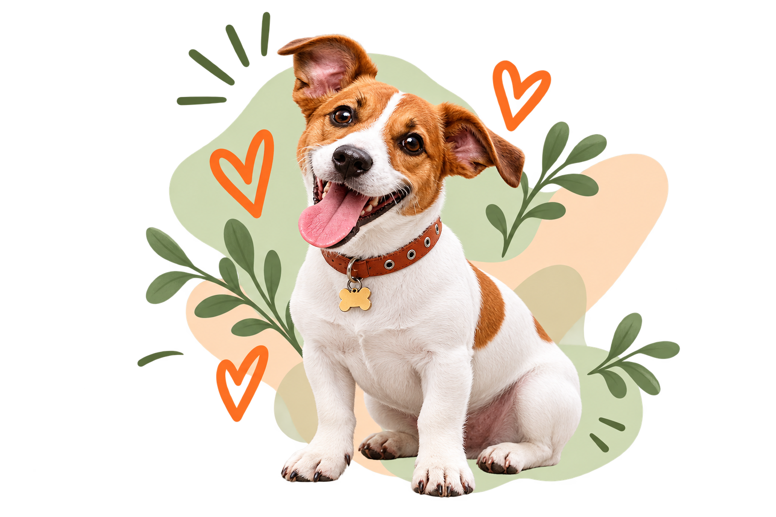 Hero Perro 19