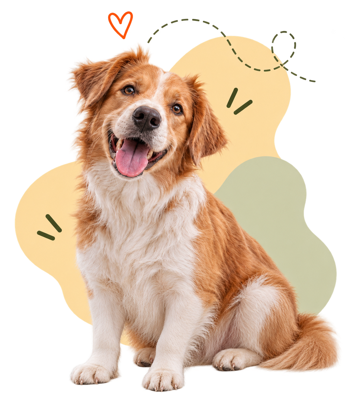 Hero Perro 9