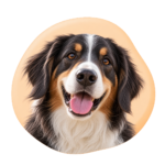 Perro 2 Icono