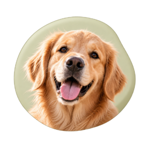Perro 1 Icono