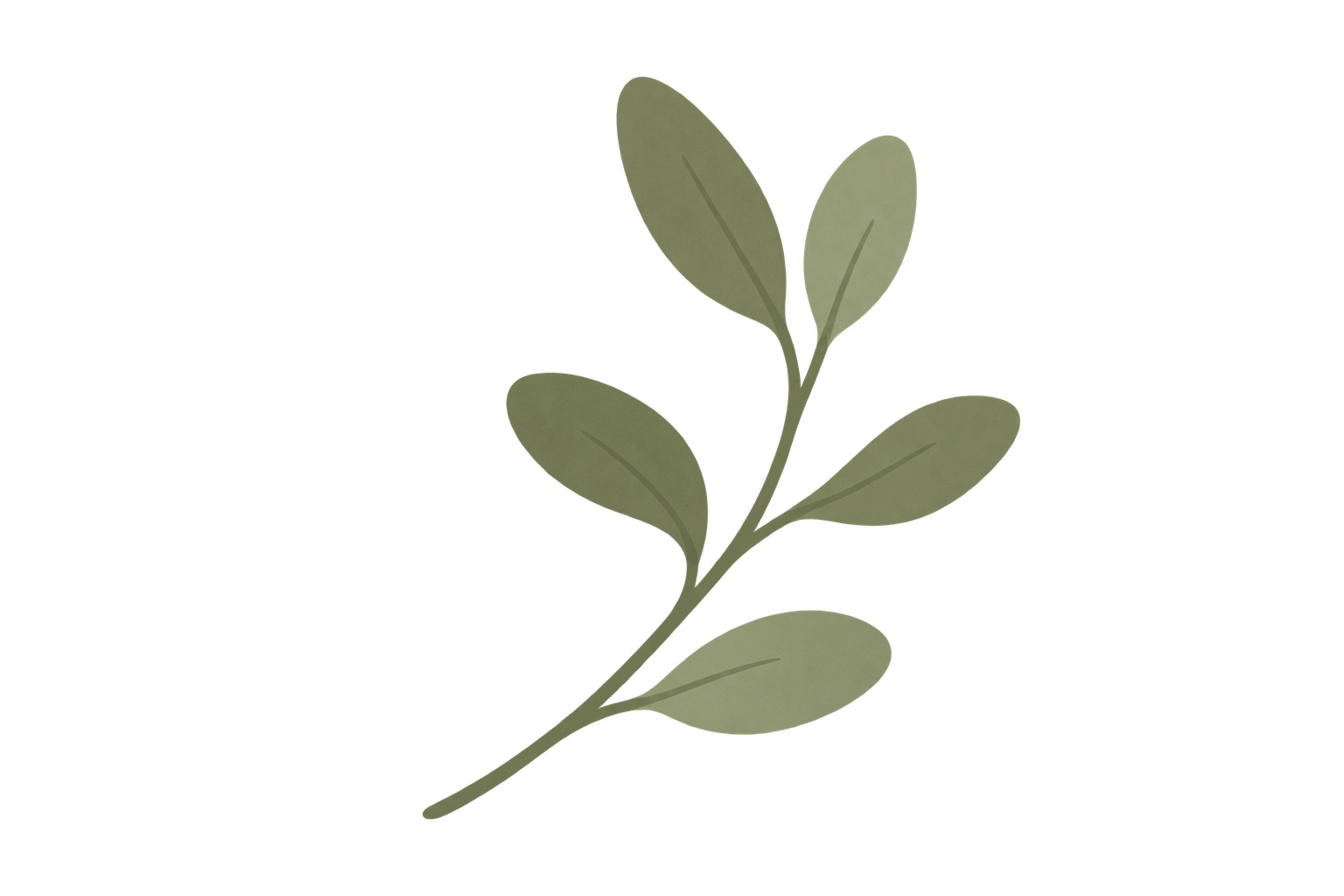 Rama eucalipto
