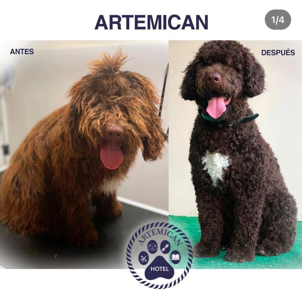 artemican