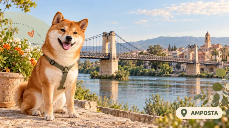 Guarderías caninas en Amposta