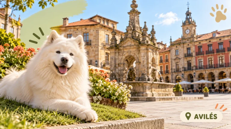 Guarderías caninas en Avilés