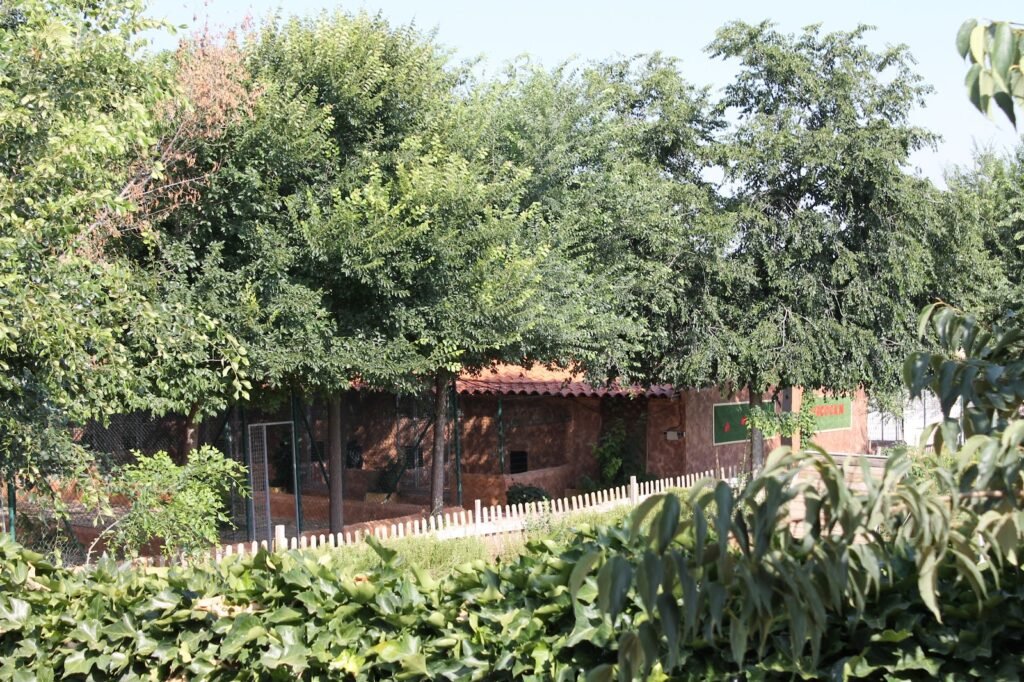 hercocán