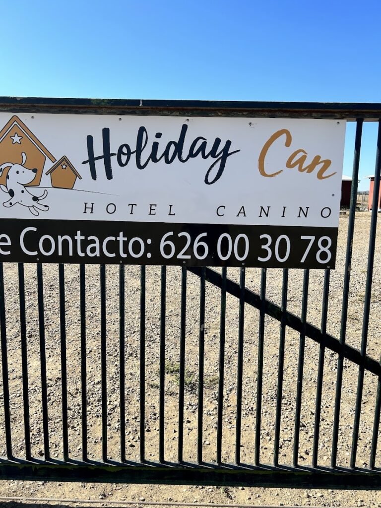 holiday can