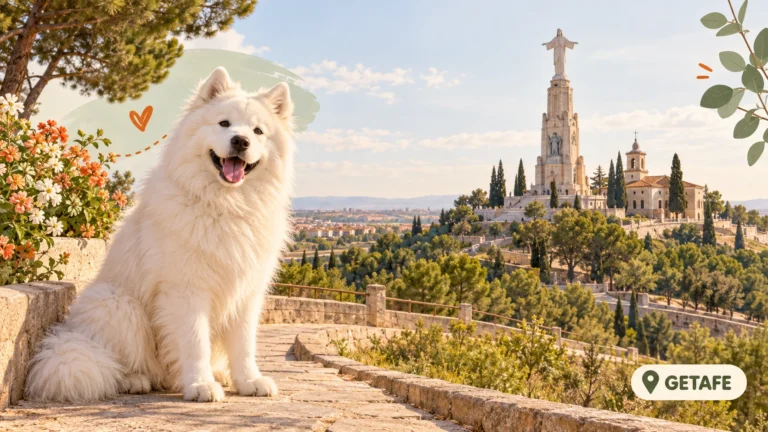 Hoteles para perros en Getafe