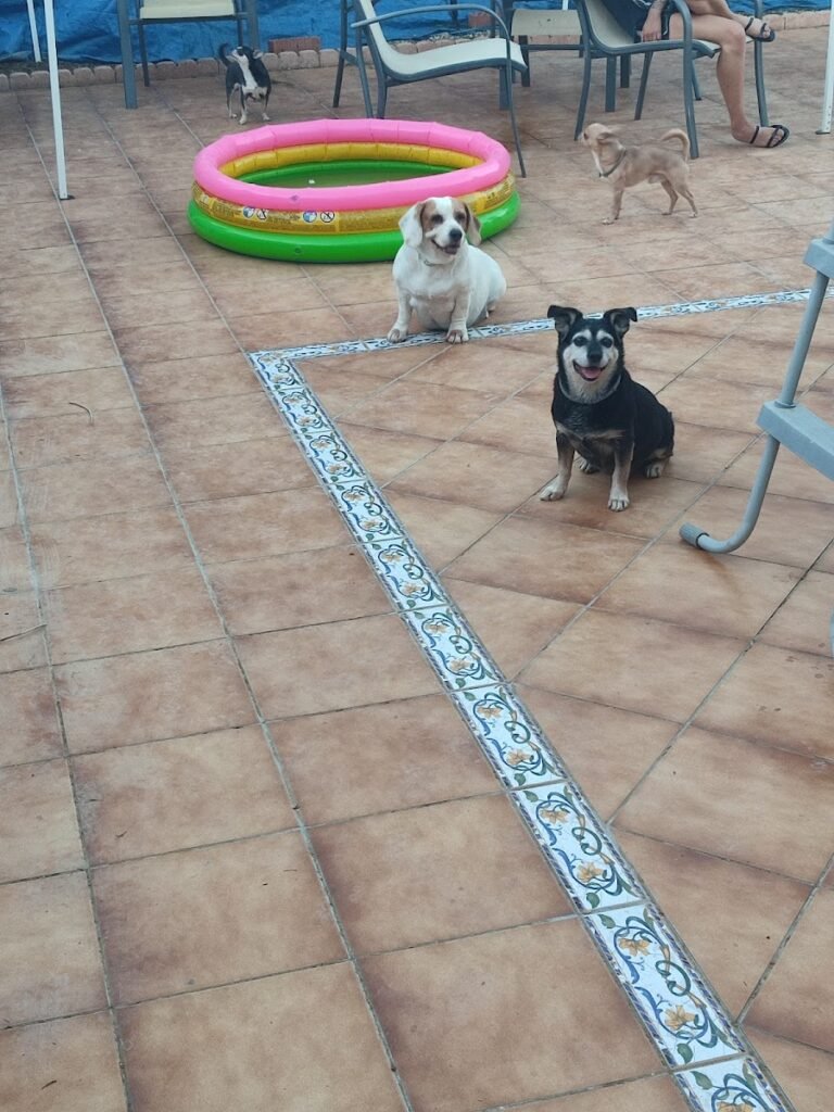 mucho mejor que en casa
