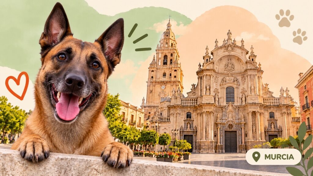 Residencias caninas en Murcia