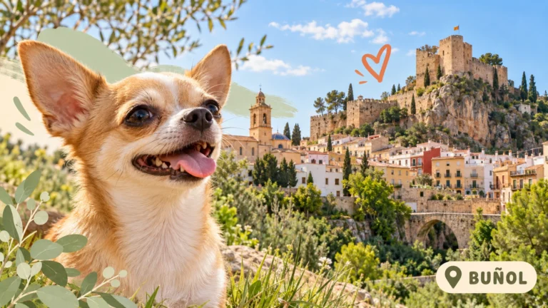Residencias caninas en Buñol