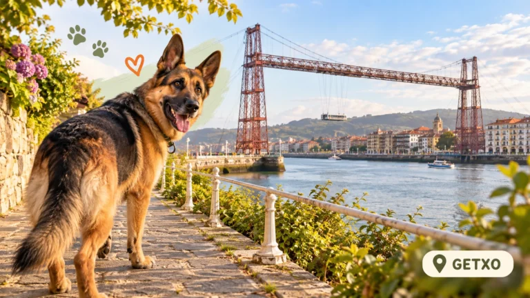 Residencias caninas en Getxo