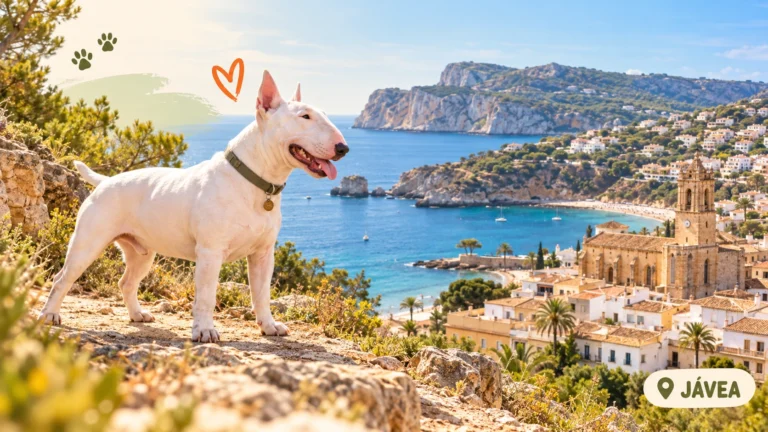 Residencias caninas en Jávea