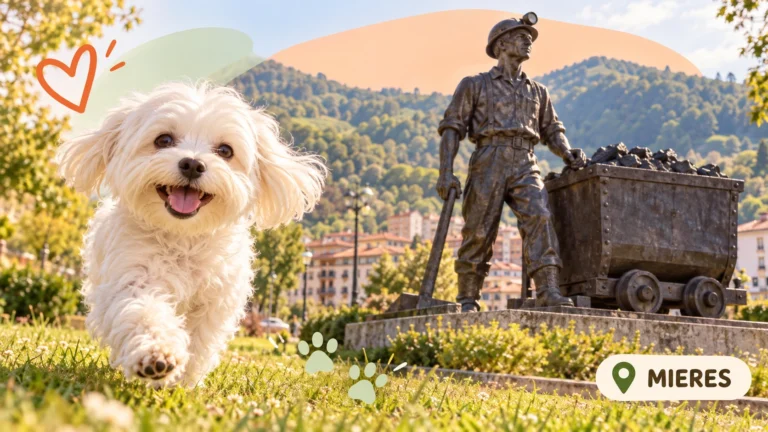 Residencias caninas en Mieres