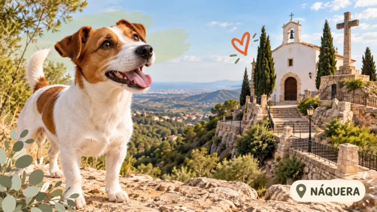 Residencias caninas en Náquera