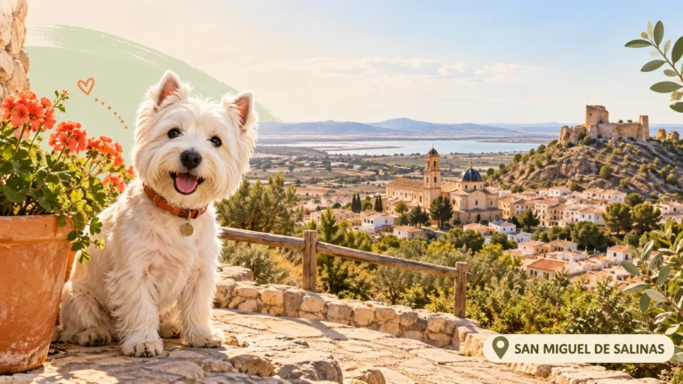 Residencias caninas en San Miguel de Salinas