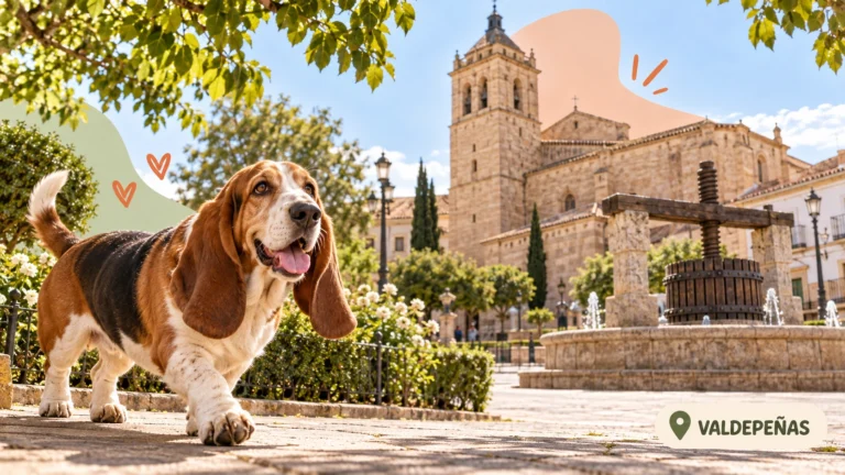 Residencias caninas en Valdepeñas
