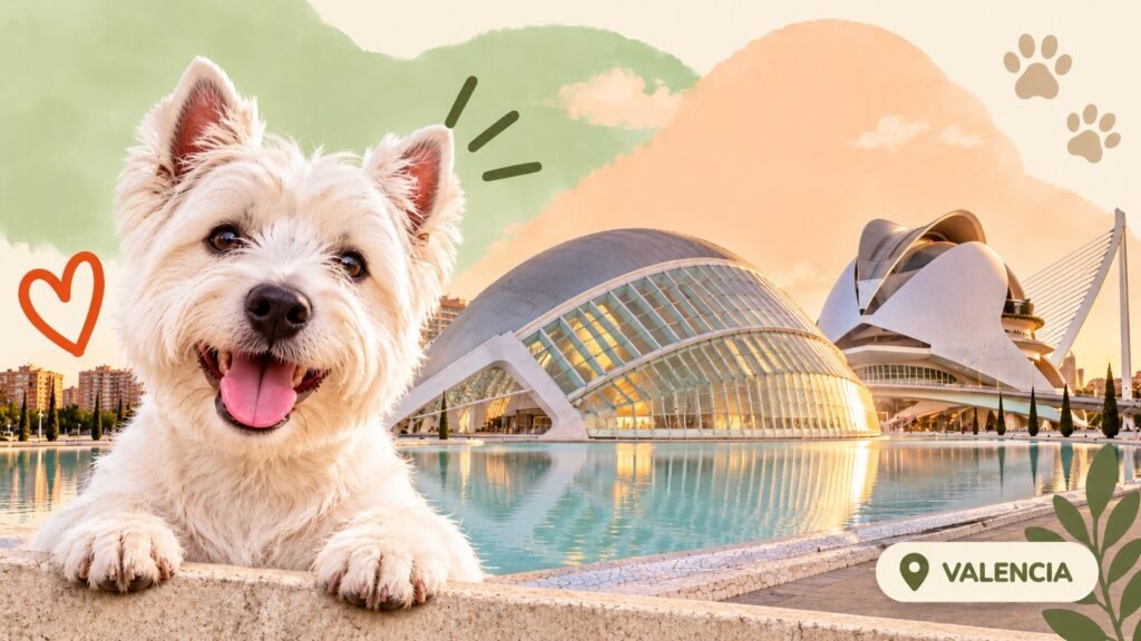 Residencias caninas en Valencia